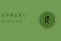 母狗,从动物本能到人类情感的纽带