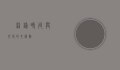 黒丝铺，时尚与文化的交汇点