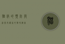 猫病的预防与治疗,守护你的猫咪健康