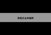 荷花什么时候开