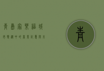 青岛家乐福，城市变迁中的商业记忆与未来展望