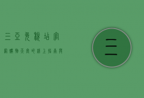 三亚免税店官网，购物天堂的线上指南与深度解析