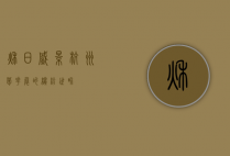 秋日盛景，杭州菊花展的缤纷世界