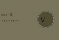 voice是什么意思(发票invoice是什么意思)