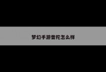 梦幻手游普陀怎么样