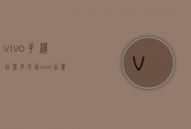 vivo手机后盖多少钱（vivo后盖一般多少钱）