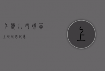 上海小吃，味蕾上的城市记忆