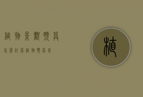 植物景观预算怎么计算（植物预算表）