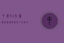 午夜DJ在线观看视频，探索电子音乐的魅力与深夜文化的独特体验