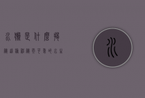 水獭是什么，揭秘这种神秘而可爱的水生哺乳动物