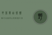 野荸荠，自然馈赠的珍宝与生态智慧的象征