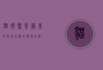 猫头鹰餐厅，美食与夜生活的独特交汇
