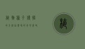 植物种子传播的方法，自然界的奇妙策略