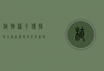 植物种子传播的方法，自然界的奇妙策略