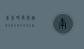 南非时间，穿越历史与自然的时空之旅