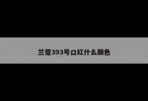 兰蔻393号口红什么颜色