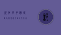 新加坡中国城，历史与现代交织的文化瑰宝