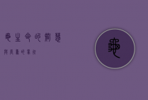 龟，生命的智慧与长寿的象征
