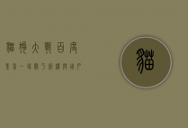 猫狗大战百度影音，一场关于版权与用户体验的博弈