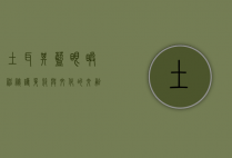 土耳其蓝眼睛，神秘护身符与文化的交融