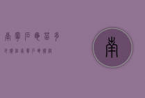 南宁石龟苗多少价位（南宁石龟价格）