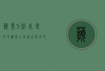 苹果5版本是多少（苹果五的版本是多少）