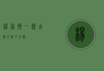 杨家巷，一条古巷的岁月回响