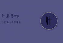 什么是erp（什么是erp沙盘模拟）