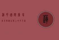 莲花国际广场美食探秘，舌尖上的多元盛宴