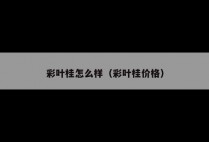 彩叶桂怎么样（彩叶桂价格）