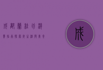 成都兰桂坊消费指南，探索夜生活与美食的完美结合