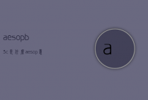 aesopb3c是什么（aesop意思）