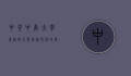 中央中南大学，卓越教育与创新研究的摇篮