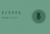 梦之乐园，探索心灵深处的奇幻世界