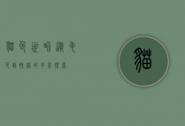 猫色世界，从毛色到性格的多彩探索