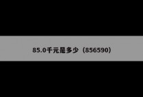 85.0千元是多少（856590）