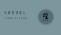 探秘狗獾，图片中的神秘生物与生态价值