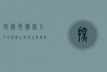 探秘狗獾，图片中的神秘生物与生态价值