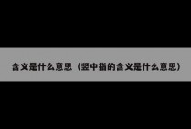 含义是什么意思（竖中指的含义是什么意思）