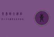 青岛到大连船票全攻略，购票指南、航线信息与旅行体验