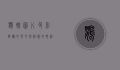 鹦鹉图片，色彩斑斓的羽毛与智慧的眼神