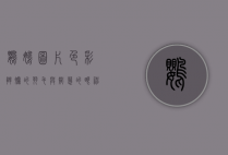 鹦鹉图片，色彩斑斓的羽毛与智慧的眼神