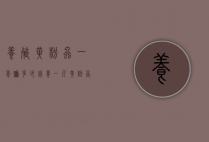 养殖黄粉虫一年赚多少钱（养一斤黄粉虫需要多少成本）
