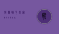 荷兰猪，可爱宠物的全面指南