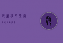 荷兰猪，可爱宠物的全面指南