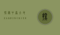 探秘中原大地，河南旅游景点的魅力与历史