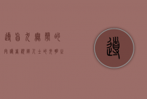 导盲犬，无声的守护者，视障人士的光明之眼