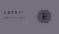 柏林墙倒塌30周年，历史的分水岭与全球的反思