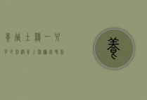 养殖土鸡一只多少利润（养土鸡赚钱吗 利润多少）