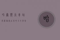哈尔滨火车站官网，旅客出行的全方位指南